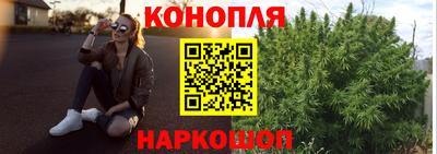 spice Рязань