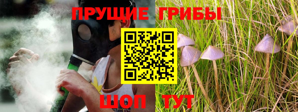 Псилоцибиновые грибы Cubensis Белогорск