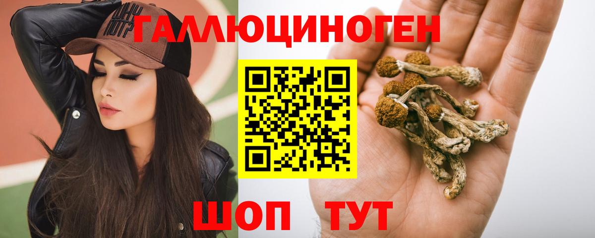 Галлюциногенные грибы Psilocybine cubensis  Вход с VPN  Псилоцибиновые грибы мицелий  Белогорск 